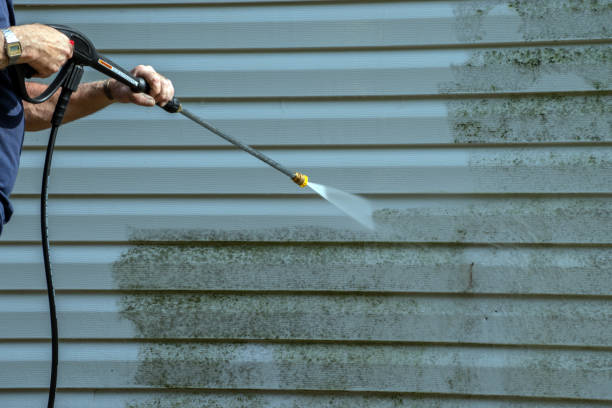 Best Fence Pressure Washing  in Chinle, AZ