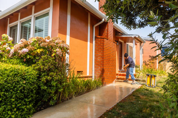 Best Residential Pressure Washing Services  in Chinle, AZ