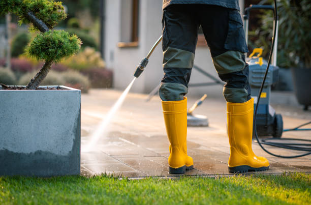 Best House Pressure Washing  in Chinle, AZ